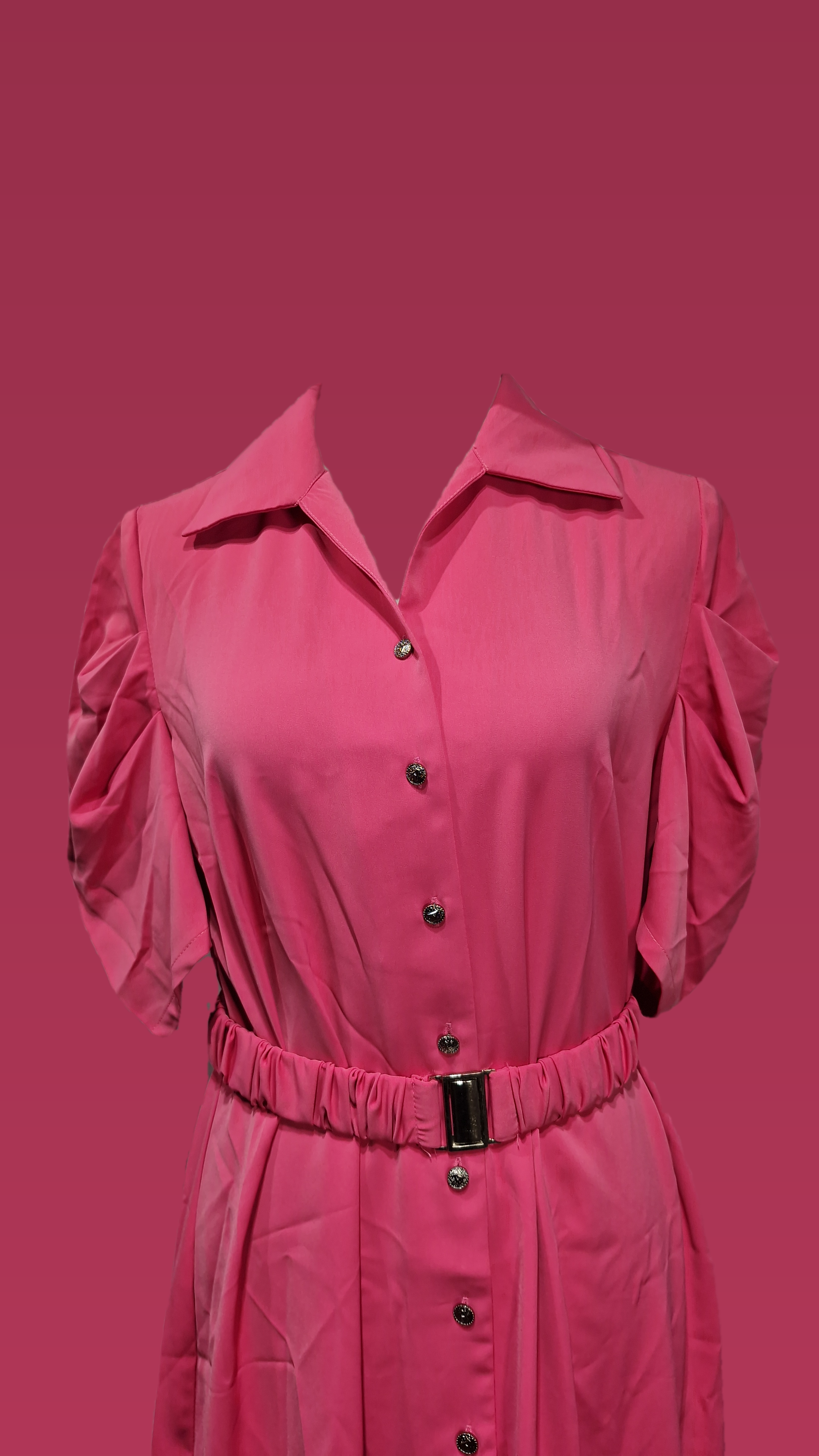 Dress / Dress with belt Collar Solid